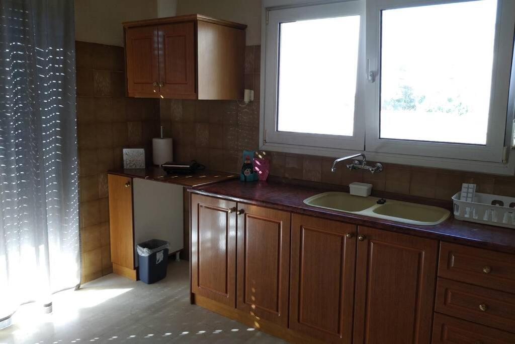 Ferienwohnung Niki'S House Άνετο Διαμ/Σμα 106Τμ 2 Υπνοδωματίων Volos Exterior foto