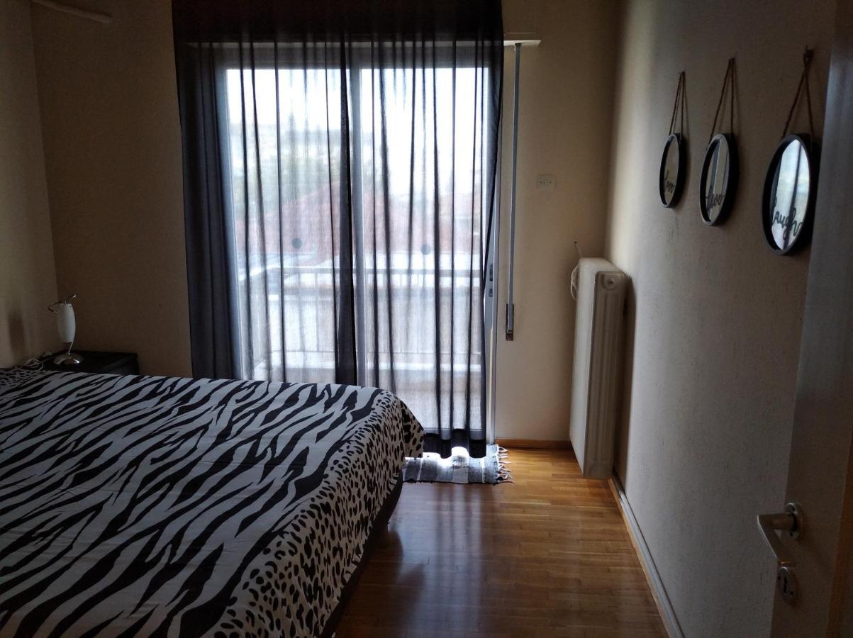 Ferienwohnung Niki'S House Άνετο Διαμ/Σμα 106Τμ 2 Υπνοδωματίων Volos Exterior foto